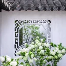 狮子林景区 - 苏州市旅游 缩略图 6