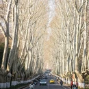 玄武湖景区 - 南京市旅游 缩略图 2