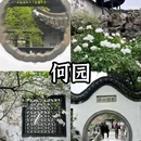 个园 - 扬州市旅游 缩略图 4