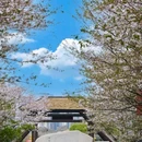 常州春秋淹城旅游区-春秋王宫 - 常州旅游 缩略图 5