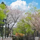 常州春秋淹城旅游区-春秋王宫 - 常州旅游 缩略图 4