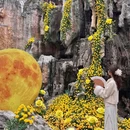 常州春秋淹城旅游区-春秋王宫 - 常州旅游 缩略图 3