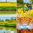 江南古镇 - 益阳市旅游 缩略图 6