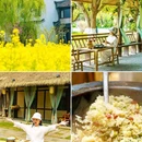 江南古镇 - 益阳市旅游 缩略图 7