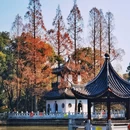 嘉定孔庙 - 上海市旅游 缩略图 4