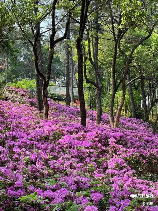 杭州西湖 - 杭州市旅游