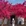上海市·一尺花园(陶家宅1号店)