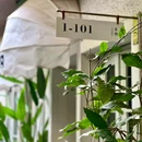 萃三创意厨房·有披萨有茶·NapoliPizza&More(市体育馆店) - 昆明市旅游 缩略图 3