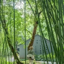 鲁迅故里景区 - 绍兴市旅游 缩略图 2