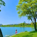 秦皇湖 - 成都市旅游 缩略图 5