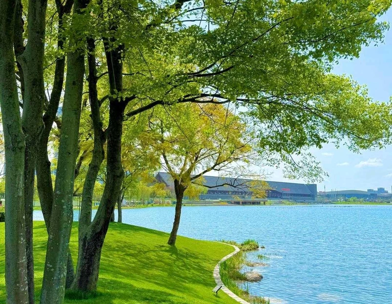 秦皇湖 - 成都市旅游 1