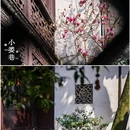小娄巷 - 无锡市旅游 缩略图 6