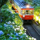 箱根 - 日本旅游 缩略图 3