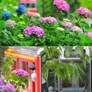 箱根 - 日本旅游 缩略图 6