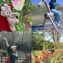 北京国际鲜花港 - 北京旅游 缩略图 1