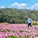 香遇百花园 - 东莞市旅游 缩略图 5