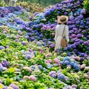 香遇百花园 - 东莞市旅游 缩略图 2