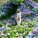 香遇百花园 - 东莞市旅游 缩略图 1