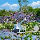 香遇百花园 - 东莞市旅游 缩略图 3