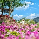 香遇百花园 - 东莞市旅游 缩略图 7