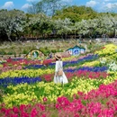 香遇百花园 - 东莞市旅游 缩略图 9