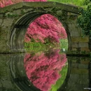 杭州西湖风景名胜区-赵公堤 - 杭州市旅游 缩略图 4