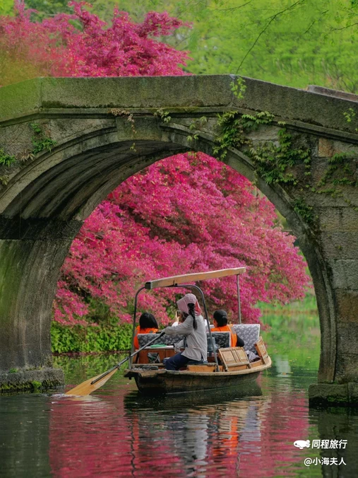 杭州西湖风景名胜区-赵公堤 - 杭州市旅游