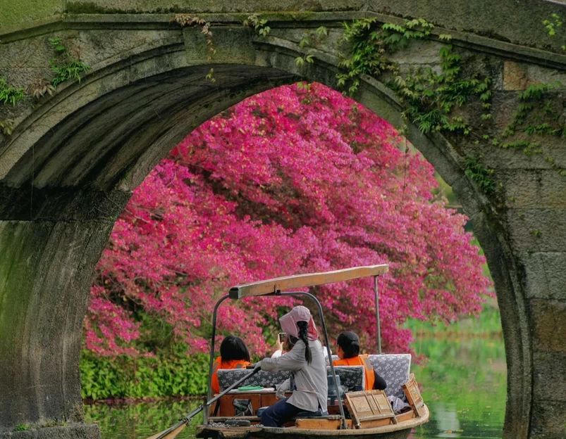 杭州西湖风景名胜区-赵公堤 - 杭州市旅游 1