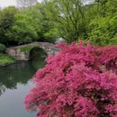杭州西湖风景名胜区-赵公堤 - 杭州市旅游 缩略图 3