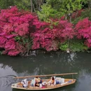 杭州西湖风景名胜区-赵公堤 - 杭州市旅游 缩略图 6