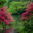 杭州西湖风景名胜区-赵公堤 - 杭州市旅游 缩略图 8