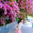 桂子花园1期东区 - 武汉市旅游 缩略图 8