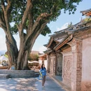 巍山古城 - 大理白族自治州旅游 缩略图 8