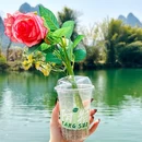 一尺稻田咖啡 - 桂林市旅游 缩略图 6