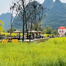一尺稻田咖啡 - 桂林市旅游 缩略图 8