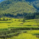 石台白石岭山水田园民宿 - 池州市旅游 缩略图 5