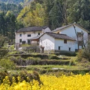 石台白石岭山水田园民宿 - 池州市旅游 缩略图 4
