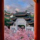 宝墨园景区 - 广州市旅游 缩略图 3