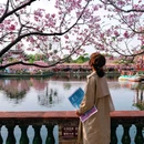 宝墨园景区 - 广州市旅游 缩略图 6