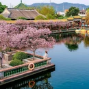 宝墨园景区 - 广州市旅游 缩略图 9