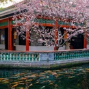 宝墨园景区 - 广州市旅游 缩略图 8
