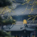 七塔禅寺 - 宁波市旅游 缩略图 3