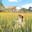 瑷露德玛芦荟庄园 - 江门市旅游 缩略图 3