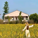 瑷露德玛芦荟庄园 - 江门市旅游 缩略图 1