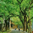 中山大学(广州校区南校园)北门广场 - 广州市旅游 缩略图 8