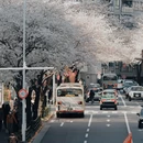 东京 - 日本旅游 缩略图 5