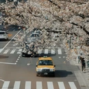 东京 - 日本旅游 缩略图 3