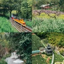 湖州长岛公园 - 湖州市旅游 缩略图 5