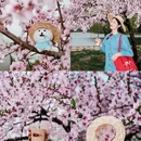 湖州长岛公园 - 湖州市旅游 缩略图 3