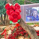 昙华林 - 武汉市旅游 缩略图 8